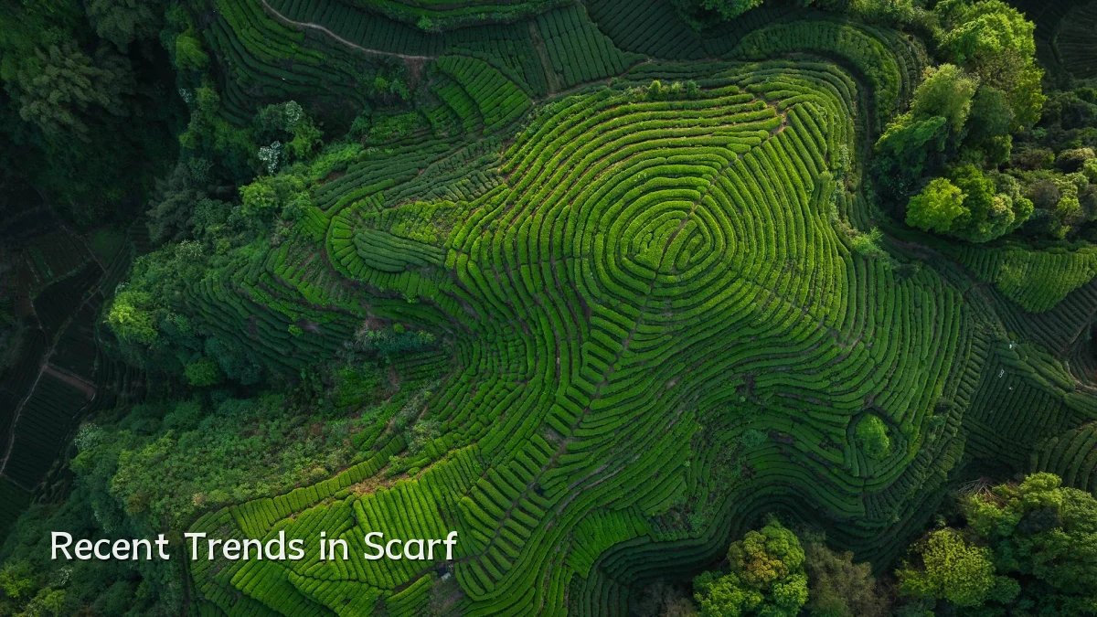Recent Trends in Scarf