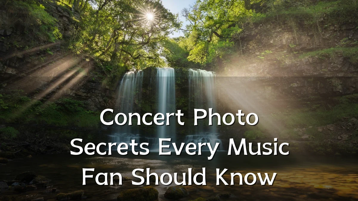 Concert Photo Secrets Every Music Fan Should Know