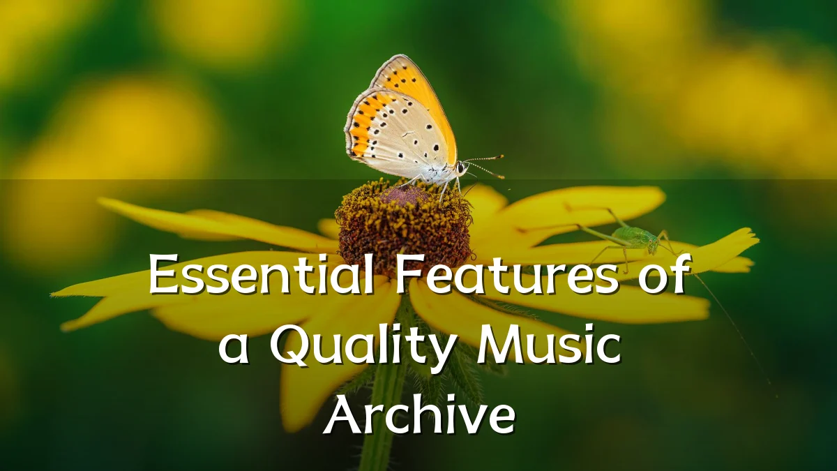 Essential Features of a Quality Music Archive