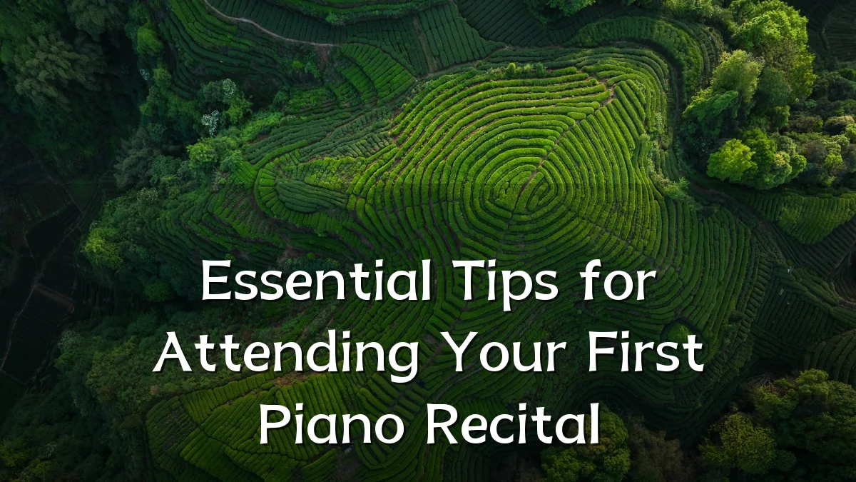 Essential Tips for Attending Your First Piano Recital