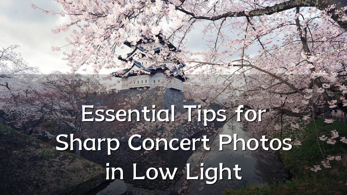 Essential Tips for Sharp Concert Photos in Low Light