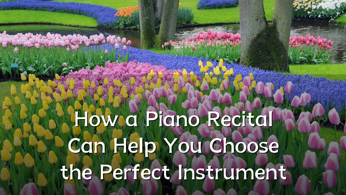 How a Piano Recital Can Help You Choose the Perfect Instrument