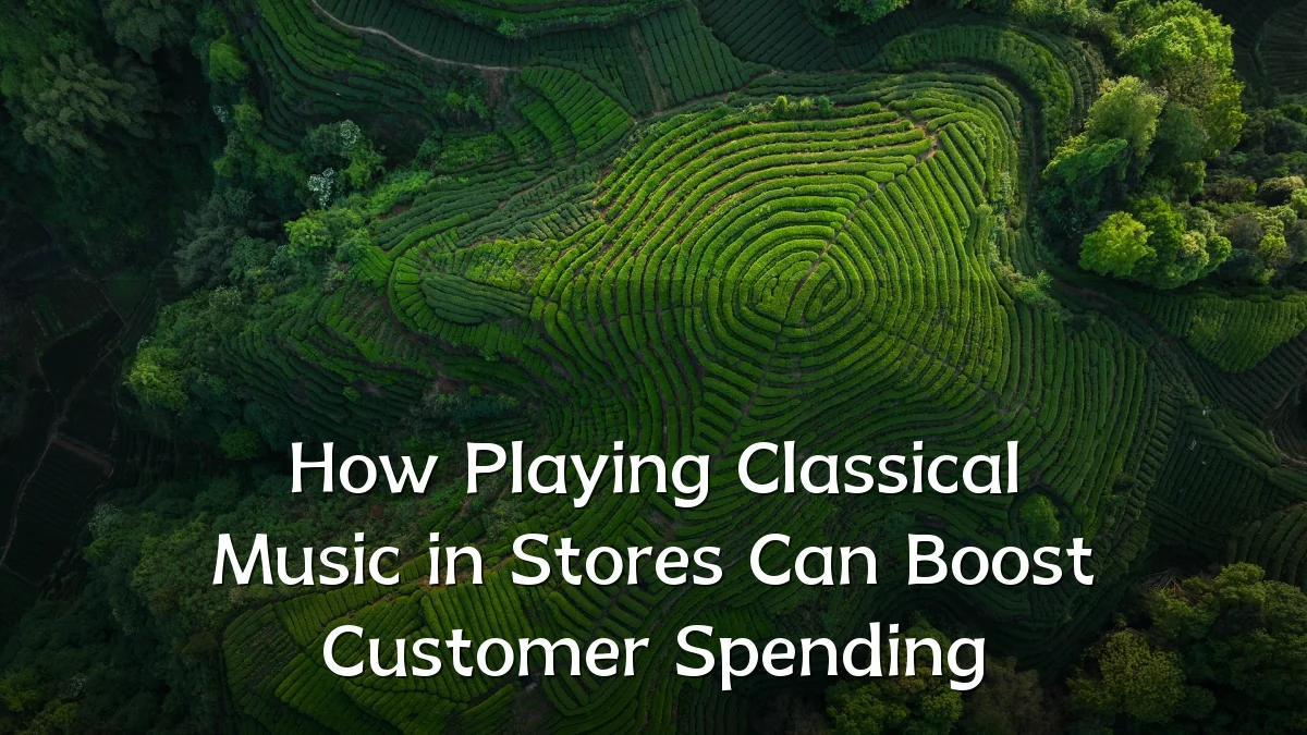 How Playing Classical Music in Stores Can Boost Customer Spending