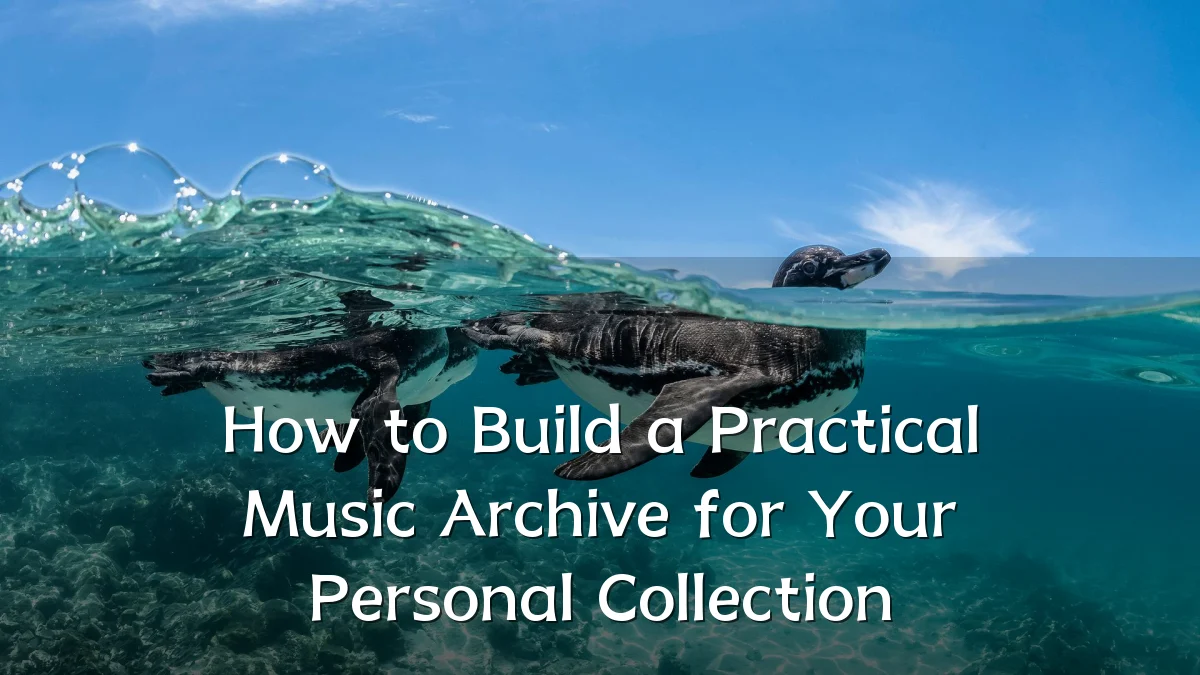 How to Build a Practical Music Archive for Your Personal Collection