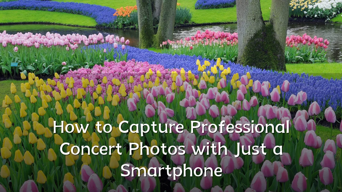 How to Capture Professional Concert Photos with Just a Smartphone