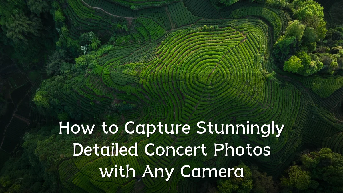 How to Capture Stunningly Detailed Concert Photos with Any Camera