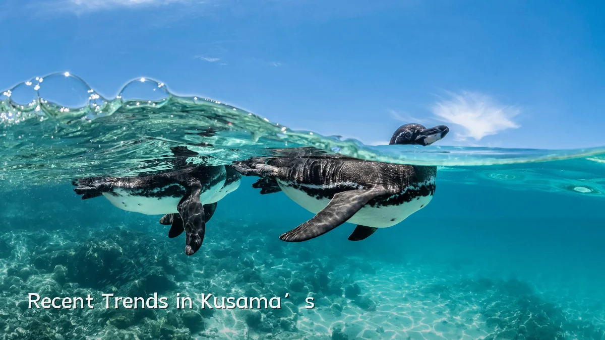Recent Trends in Kusama’s