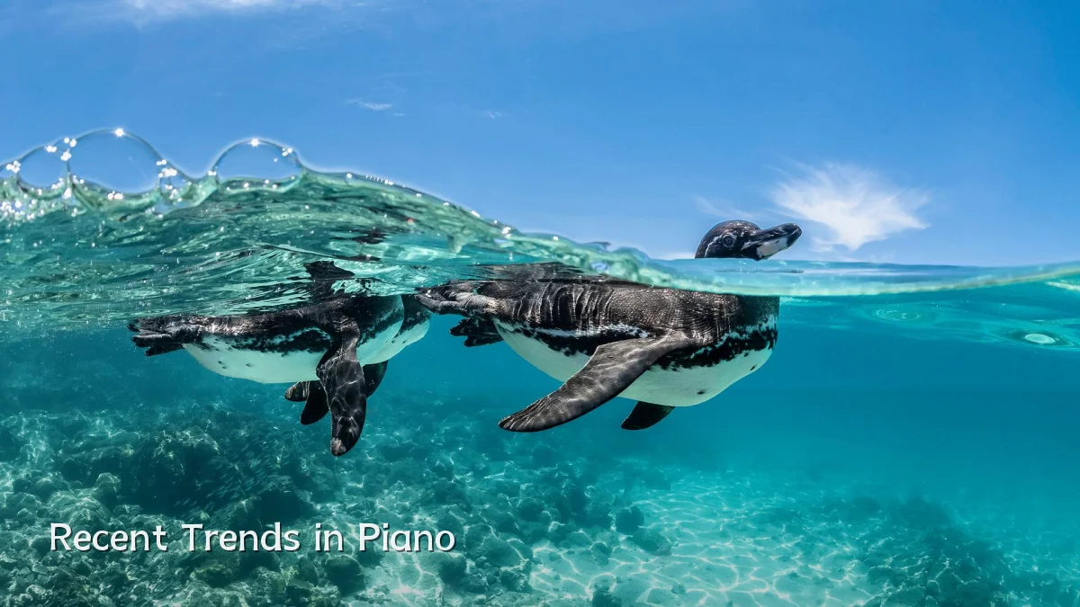 Recent Trends in Piano