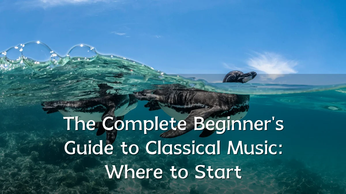 The Complete Beginner's Guide to Classical Music: Where to Start