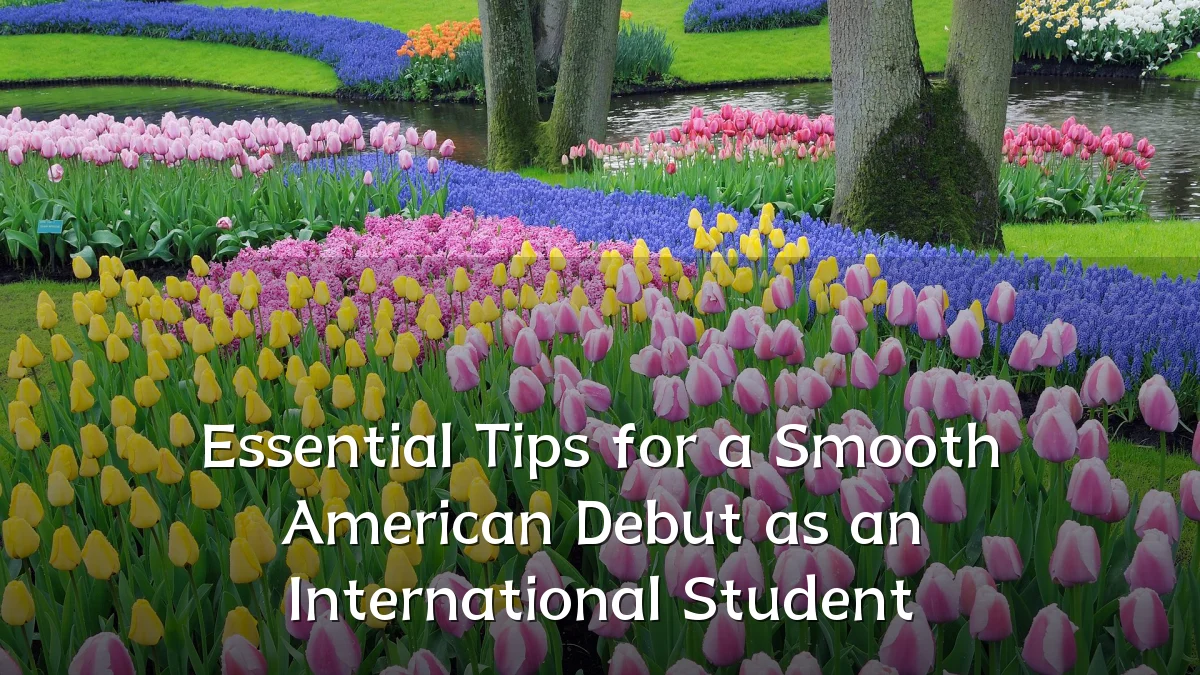 Essential Tips for a Smooth American Debut as an International Student
