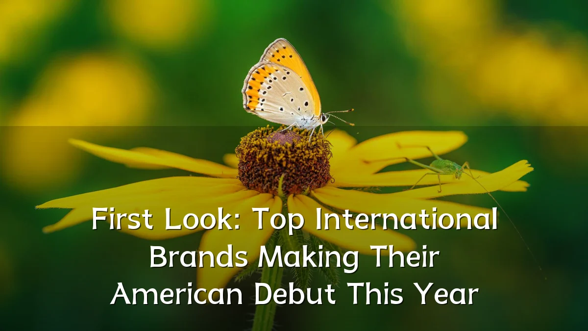 First Look: Top International Brands Making Their American Debut This Year