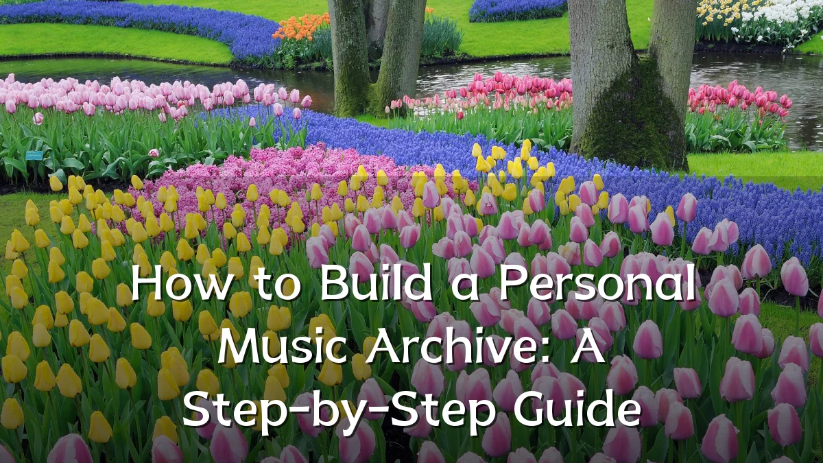 How to Build a Personal Music Archive: A Step-by-Step Guide