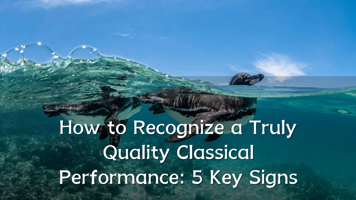 How to Recognize a Truly Quality Classical Performance: 5 Key Signs