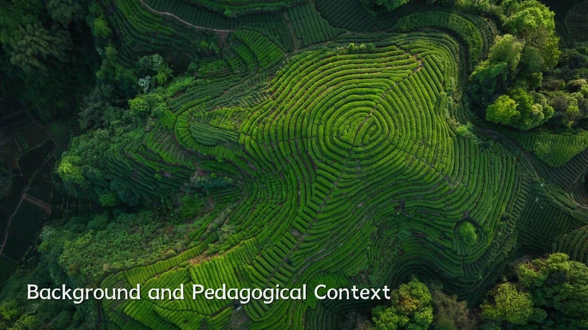 Background and Pedagogical Context