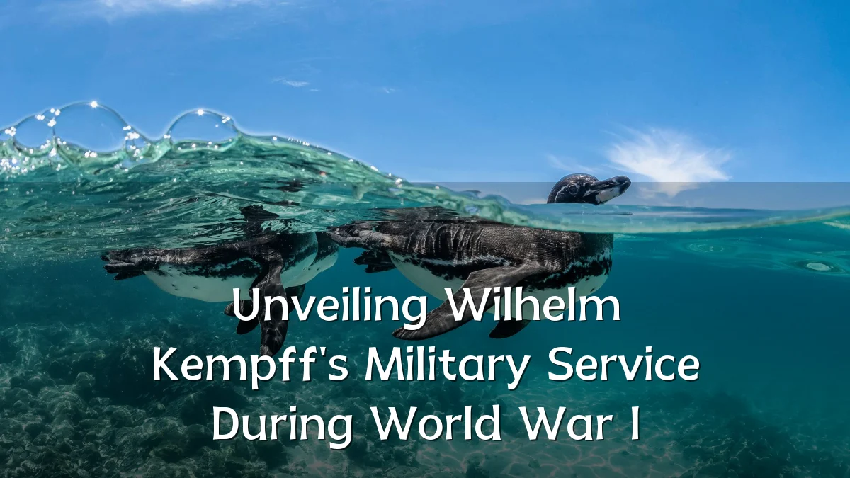 Unveiling Wilhelm Kempff's Military Service During World War I