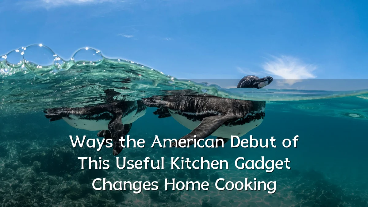 Ways the American Debut of This Useful Kitchen Gadget Changes Home Cooking
