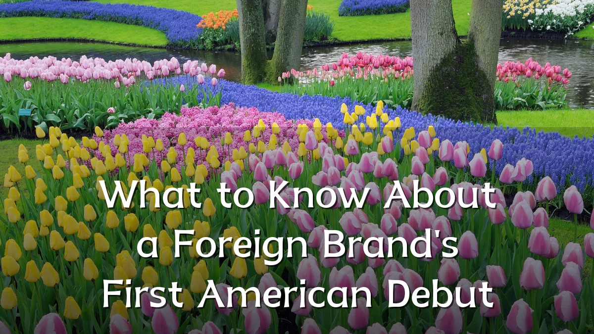 What to Know About a Foreign Brand's First American Debut