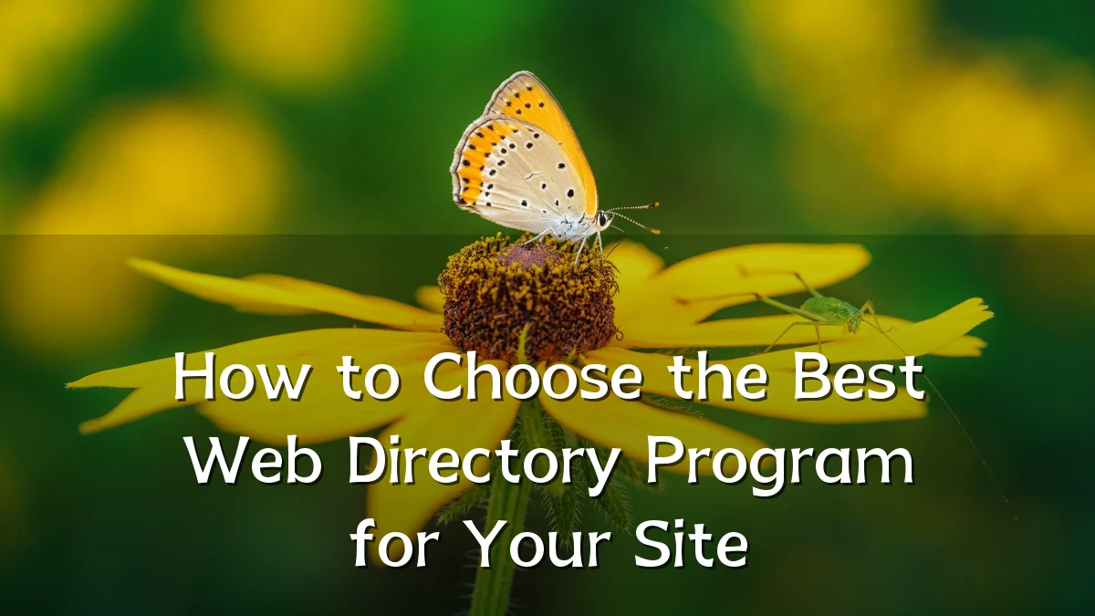 How to Choose the Best Web Directory Program for Your Site