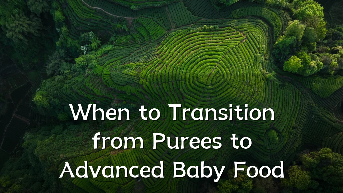 When to Transition from Purees to Advanced Baby Food