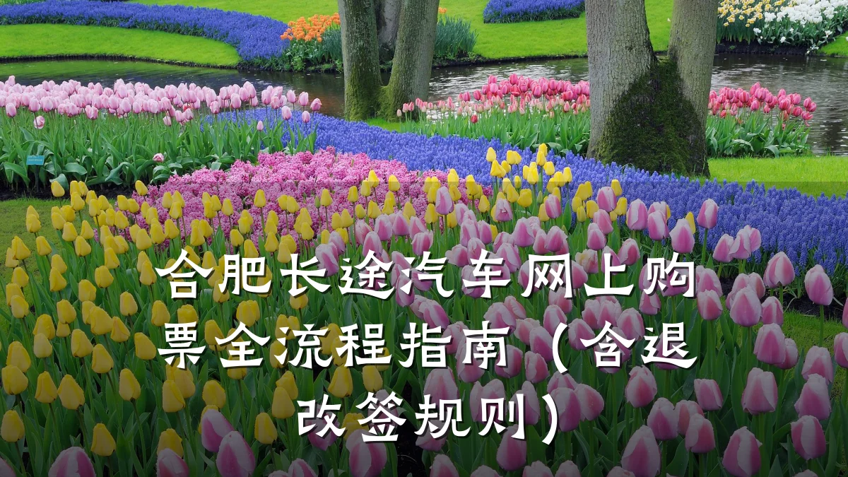 合肥长途汽车网上购票全流程指南（含退改签规则）