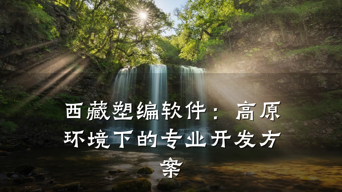 西藏塑编软件:高原环境下的专业开发方案