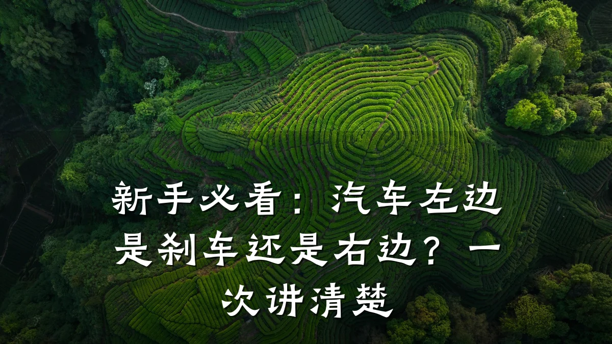 新手必看：汽车左边是刹车还是右边？一次讲清楚