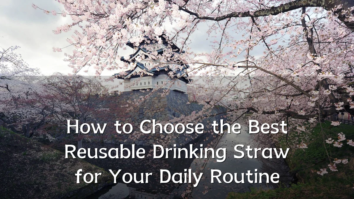 How to Choose the Best Reusable Drinking Straw for Your Daily Routine